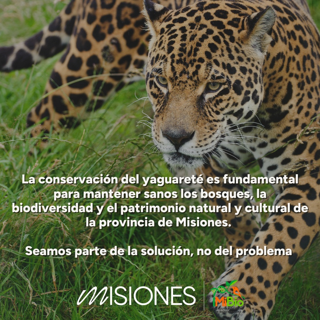 Imagen 5